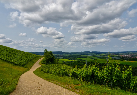 Von Affaltrach zum Breitenauer See und zurück