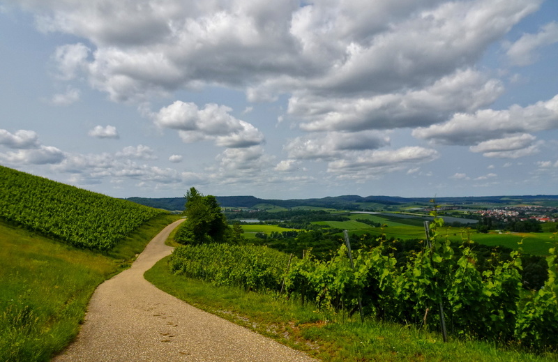 2025-06-09  11-55-05