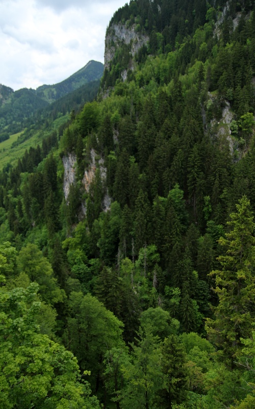 2014-06-02 um 11-54-18