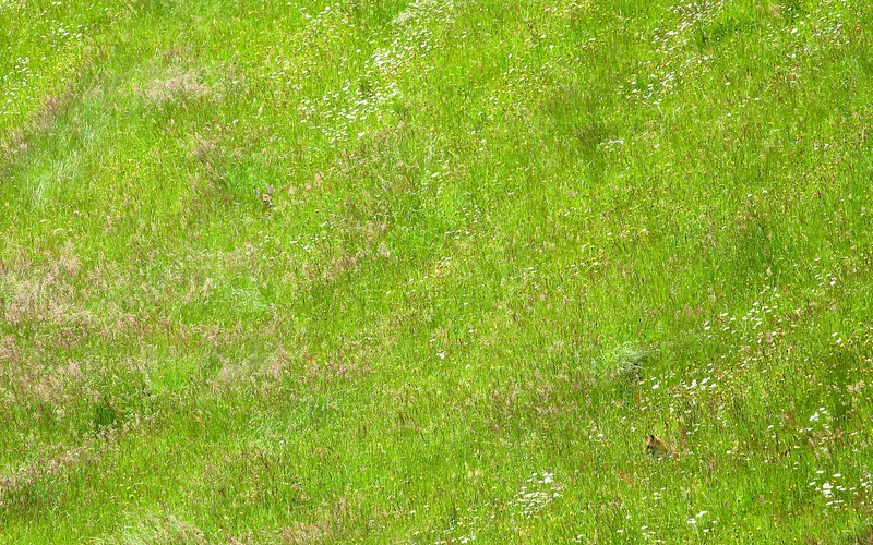 2014-06-03 um 16-19-58