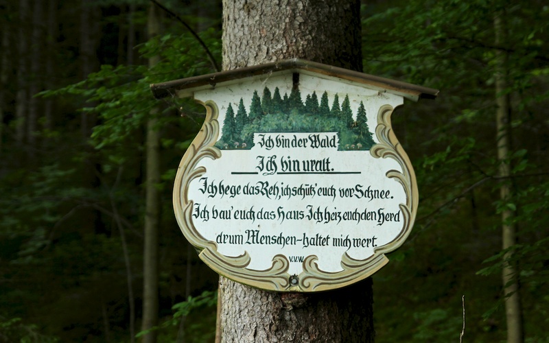 2014-06-05 um 09-42-08