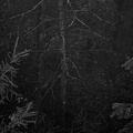 2009-10-24 2009-10-24 2