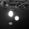 2009-10-24 2009-10-24 9