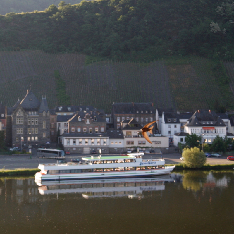 2010-06-05  07-47-10