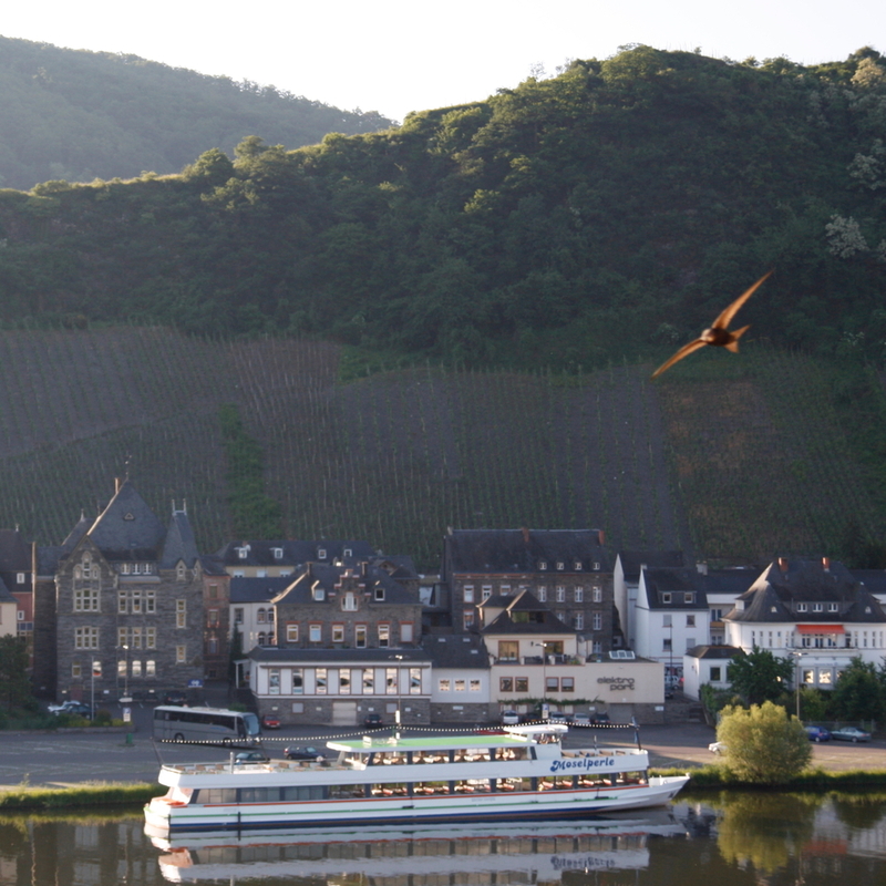 2010-06-05  07-50-17