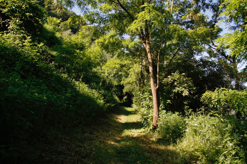 2010-06-05  09-45-55