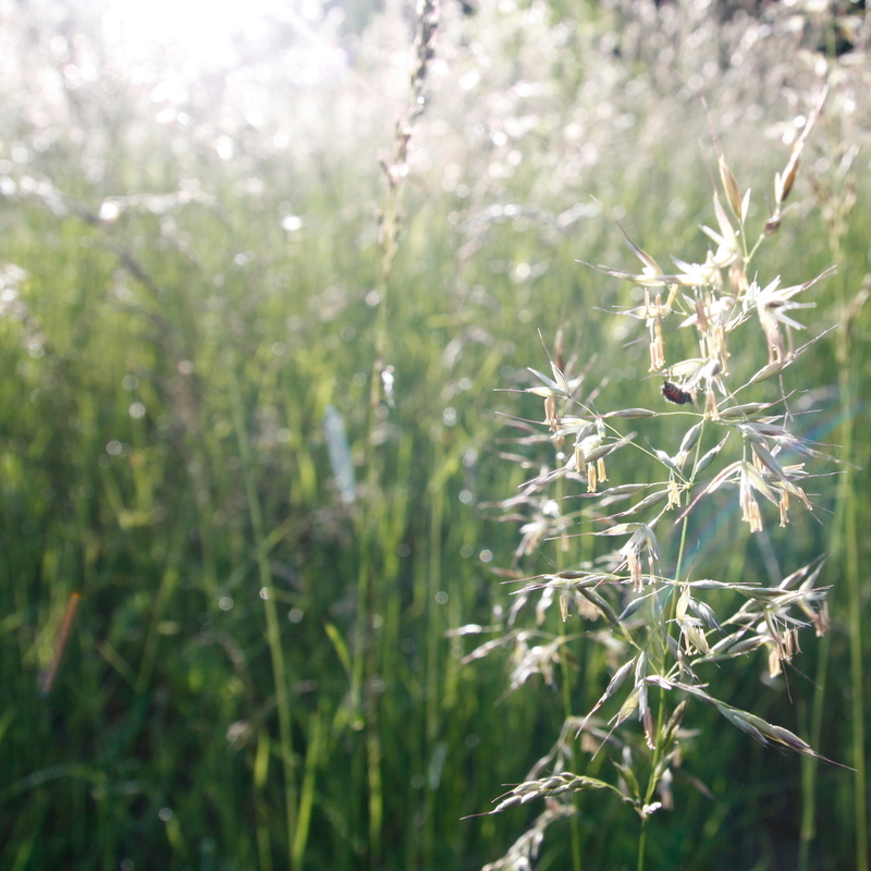 2010-06-05  10-13-58