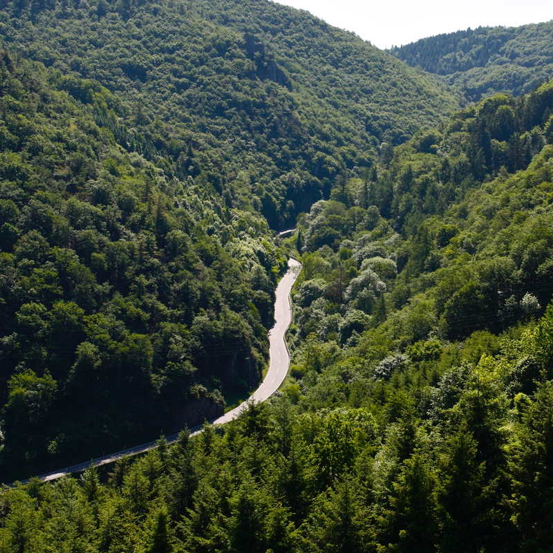 2010-06-05  11-21-31