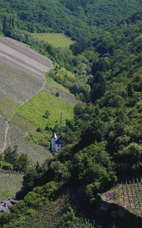 2010-06-05  11-45-50