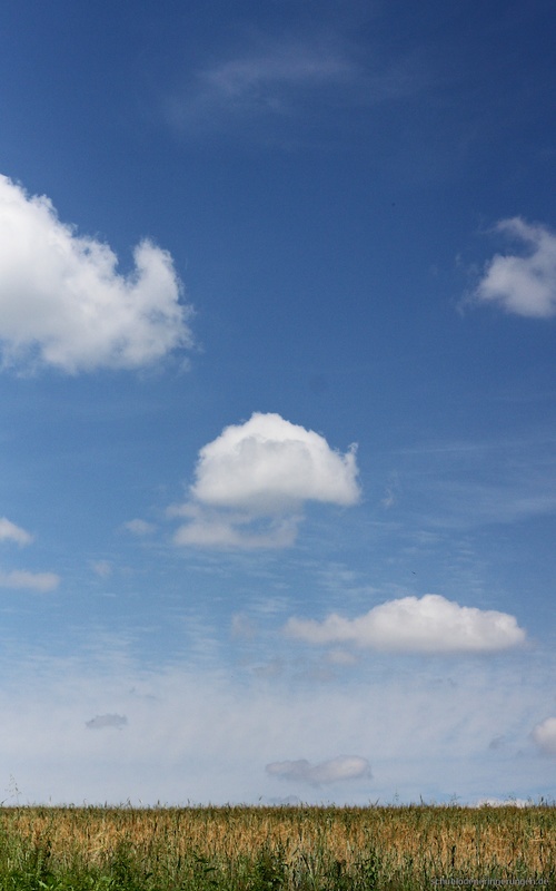 2015-06-28 um 13-33-05