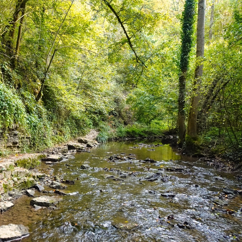 2021-10-08  13-48-31