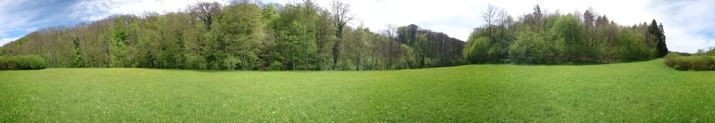 IMG 20170506 124959_360