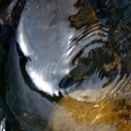 2012-04-29 um 13-29-43