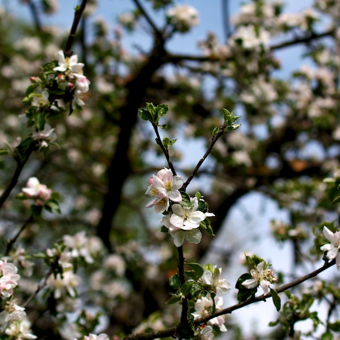 2012-04-29 um 13-49-59