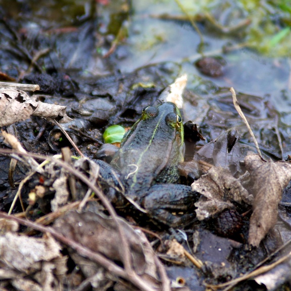 2012-04-29 um 14-36-42