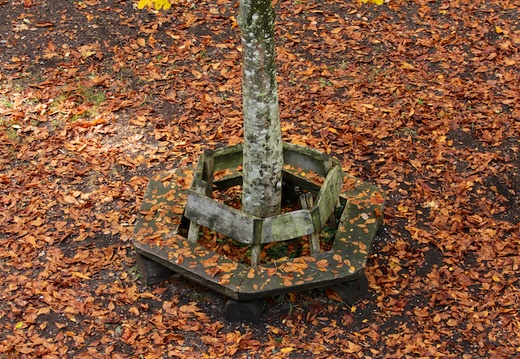 2016-10-23 um 13-26-49