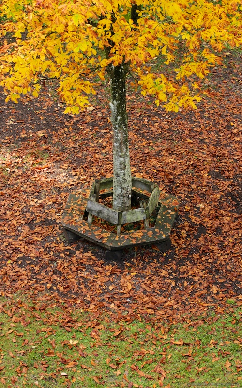 2016-10-23 um 13-26-49