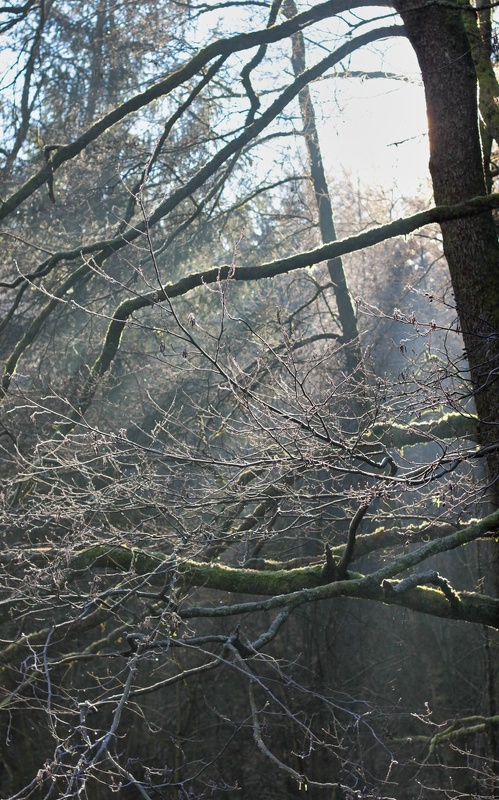 IMG 1396