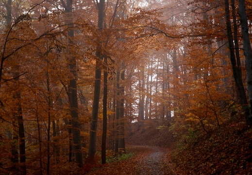 2012-11-17  090307