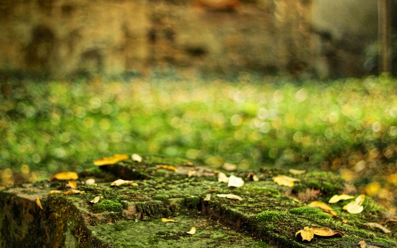 2015-10-17 um 13-04-09