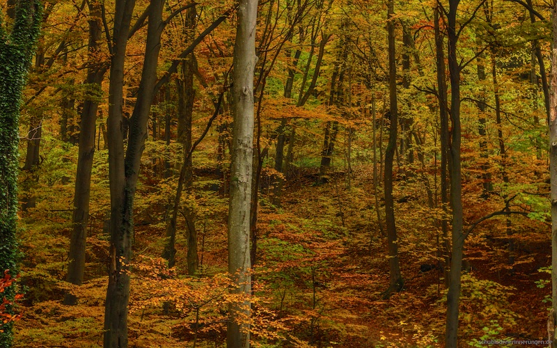 2015-10-25 um 12-54-33