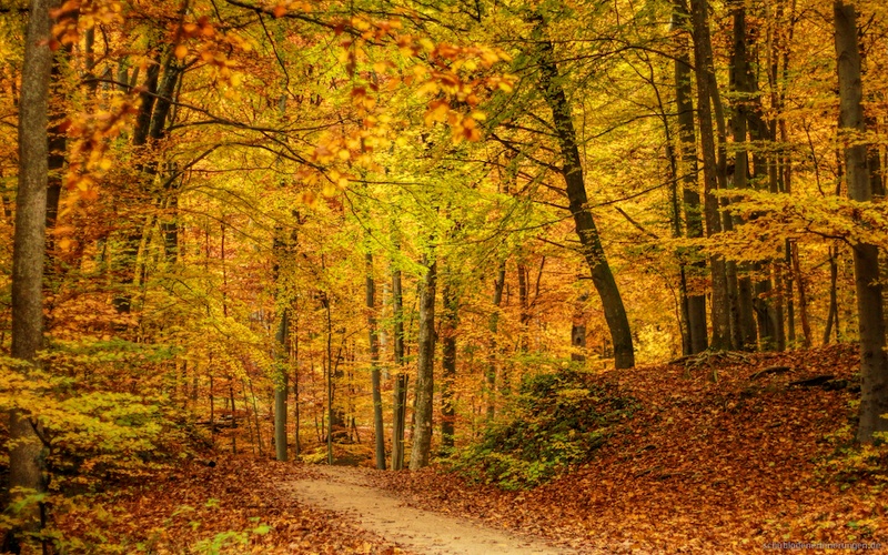 2015-10-25 um 13-08-19