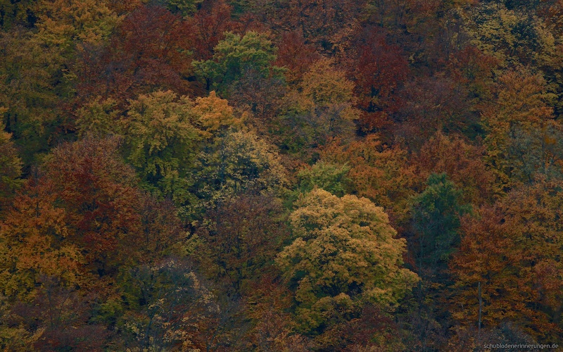 2015-10-25 um 16-48-35