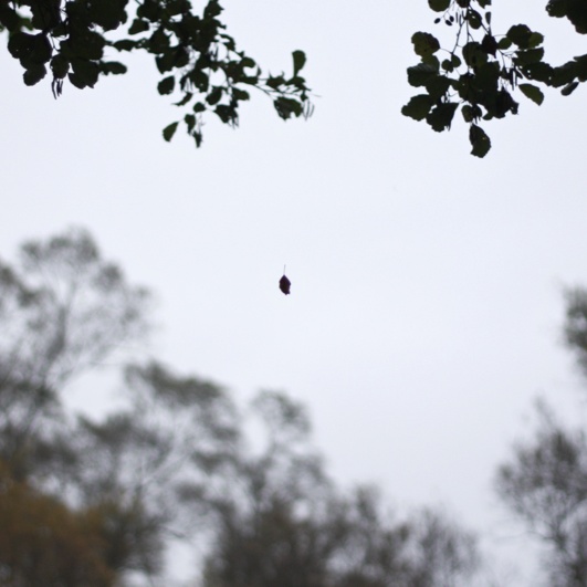 2010-10-15 0757