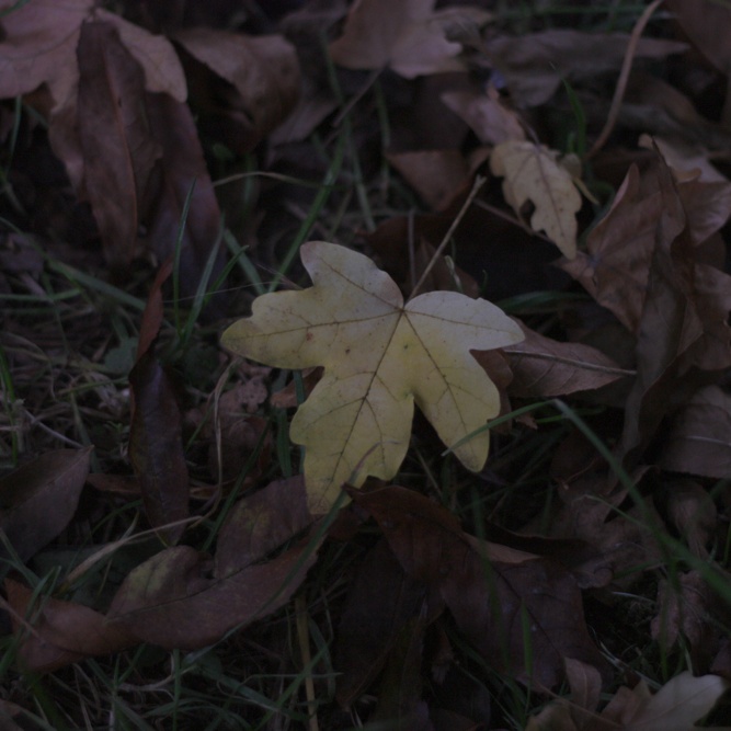 2010-10-15 0835