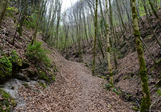 Hüttlenwaldschlucht