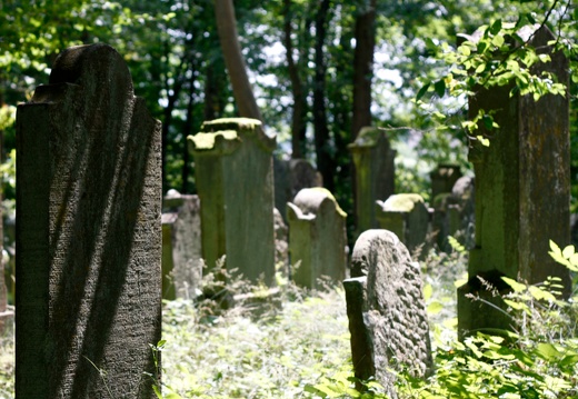 2010-07-25 1403