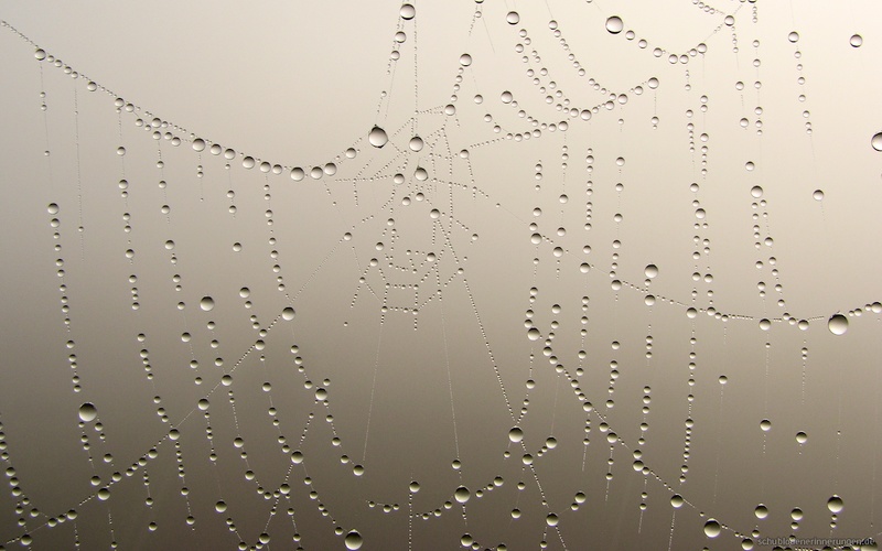 2007-10-08 um 09-45-33