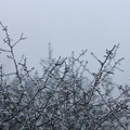 2015-01-06 um 09-01-44