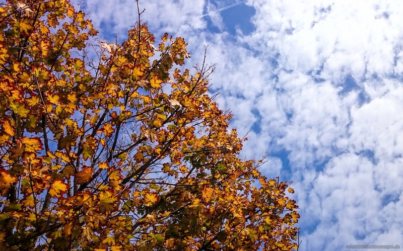 2015-10-09 um 11-22-23