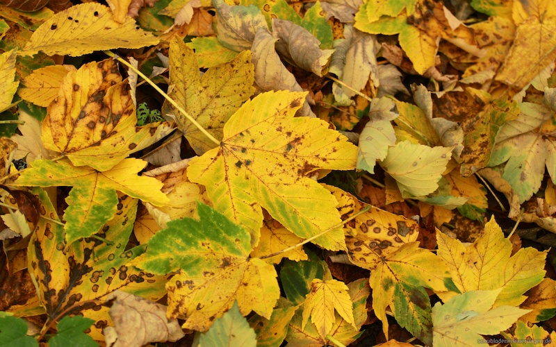2015-10-30 um 13-40-59