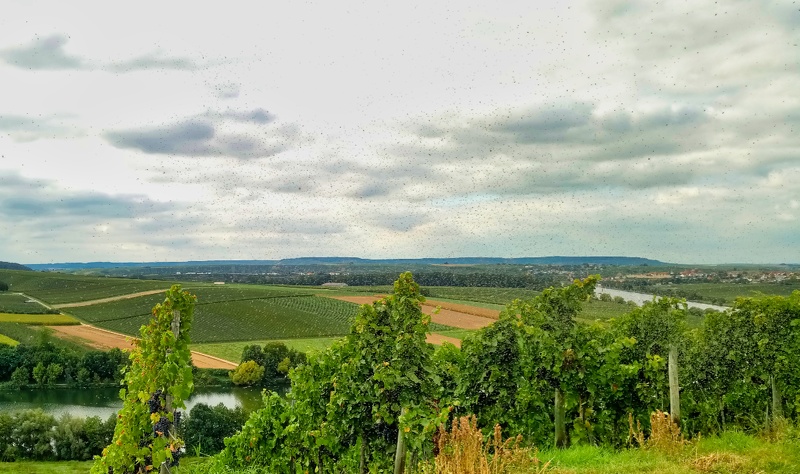 2019-09-13 15-53-02