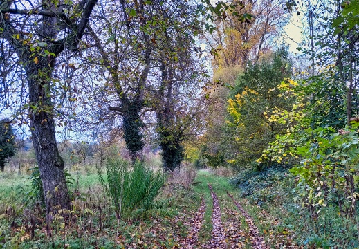 2019-11-03 13-44-29