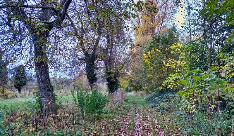 2019-11-03 13-44-29