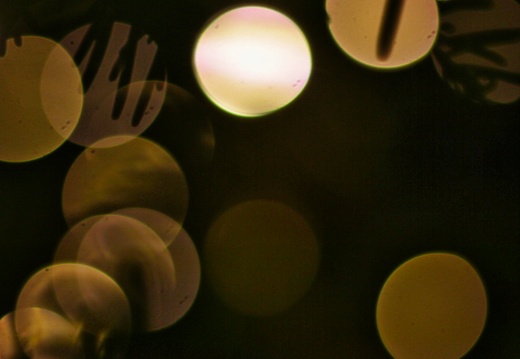 2019-12-30 20-09-43