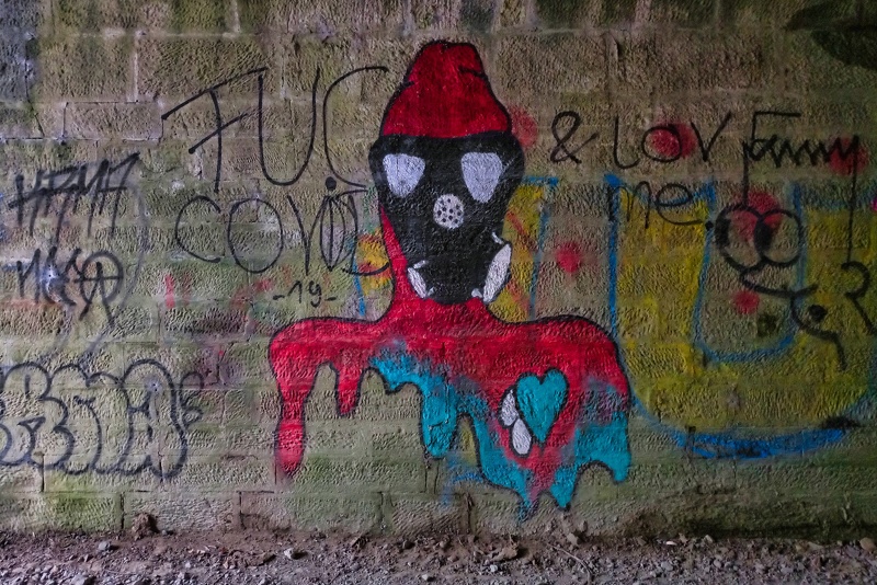 2020-12-20 12-36-05
