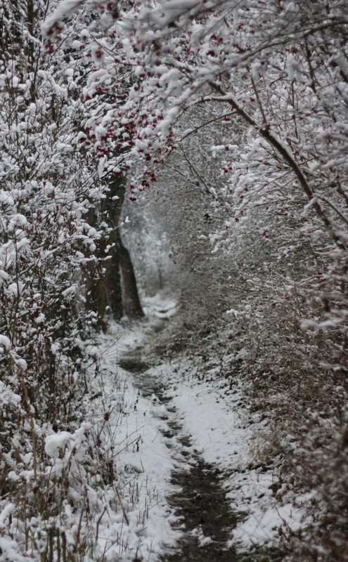 2021-01-03  11-10-54