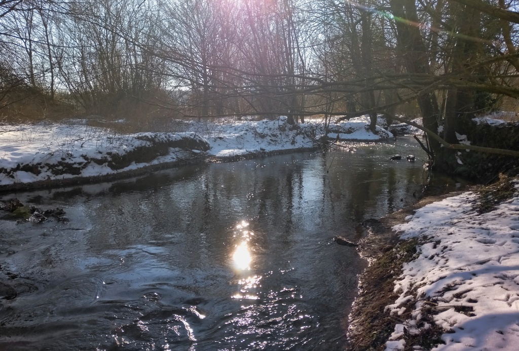 2021-02-13__15-02-50.jpg