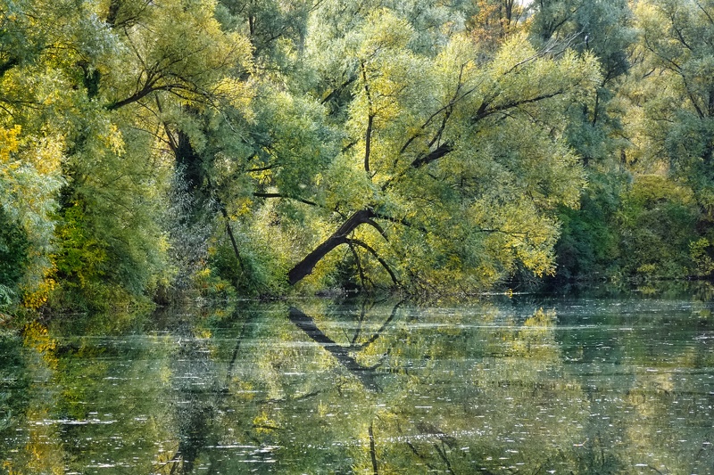 2021-10-23  10-47-43