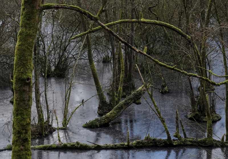 2025-01-12  13-17-11