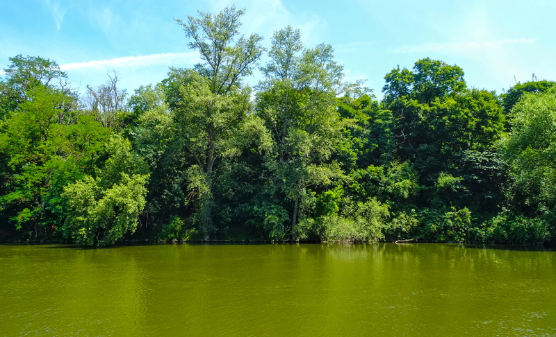 2025-06-21  13-42-57