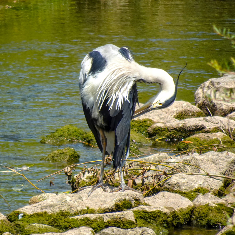 2025-06-21  13-44-00