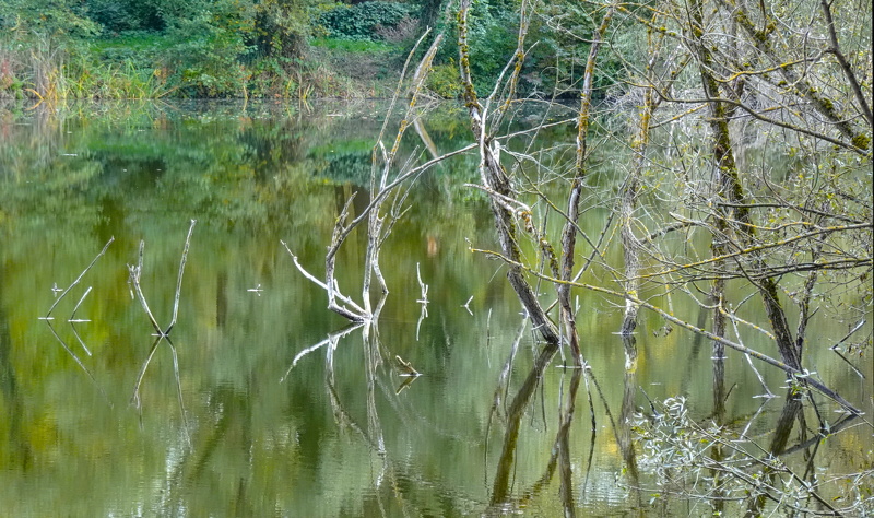 2025-10-12  13-04-25