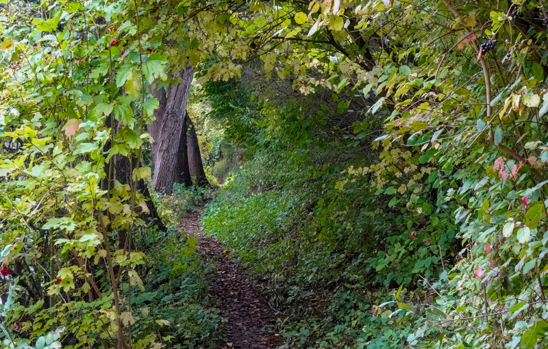 2025-10-12  13-07-16