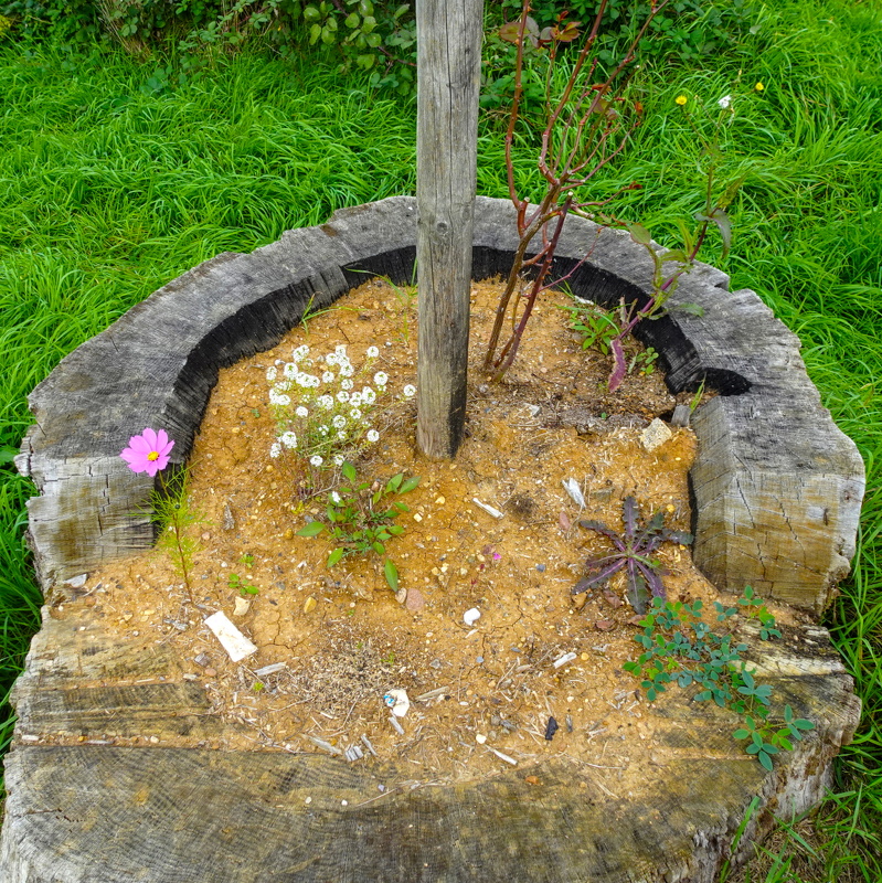 2025-10-12  14-09-59