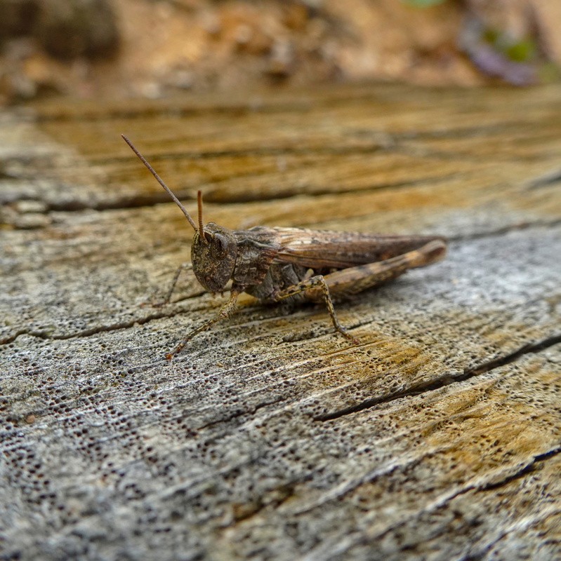 2025-10-12  14-10-27